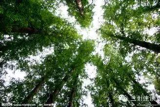 听说你还在家养花花草草实在太OUT了！