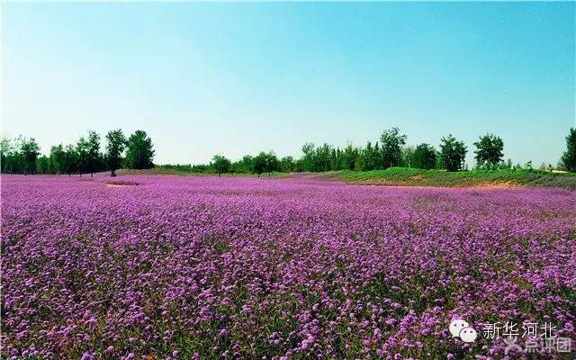 这条飘扬在河北大地的锦绣玉带,真是美爆了
