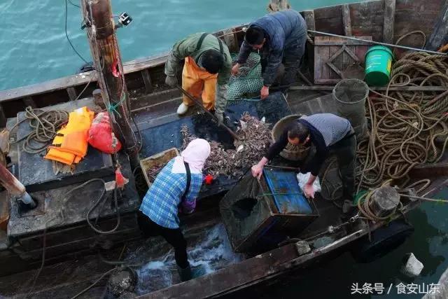 9月1号开海海鲜能便宜吗,9.1开海海鲜掉价吗