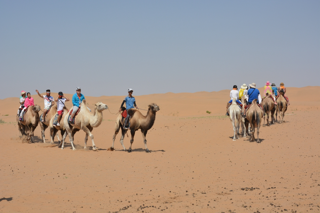 西安到阿拉善左旗自驾游攻略,西安到阿拉善三日游