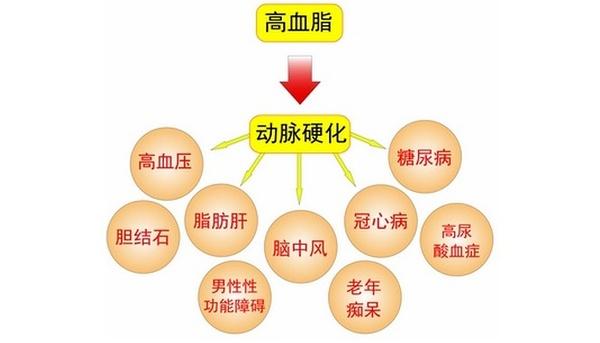 血压高血糖高的治法,一招治高血压高血脂高血糖