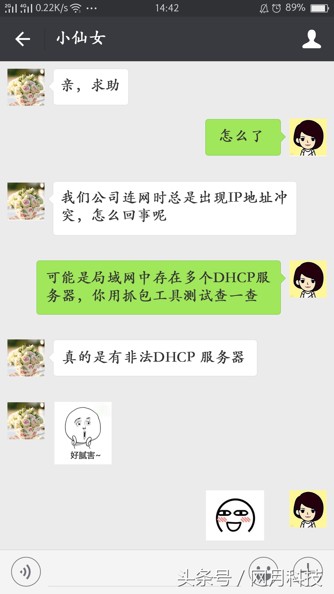 在什么情况下要关闭dhcp,dhcp功能被禁用