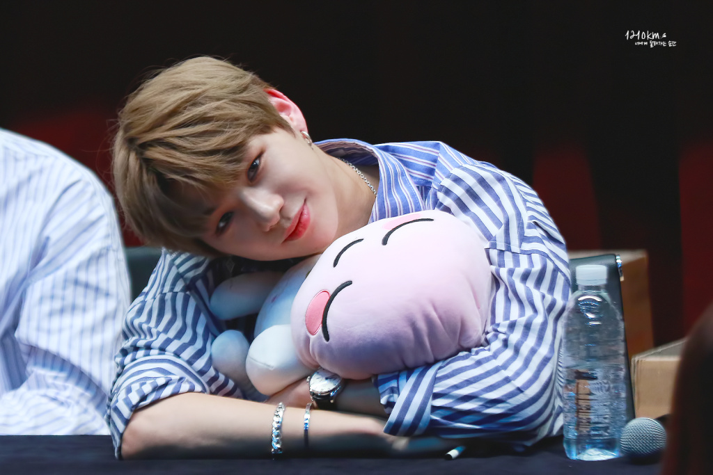 高情商撩爱豆,粉丝教科书式撩爱豆