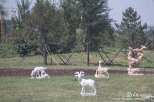 偏关老牛湾旅游攻略大全图,2017黄河十年行