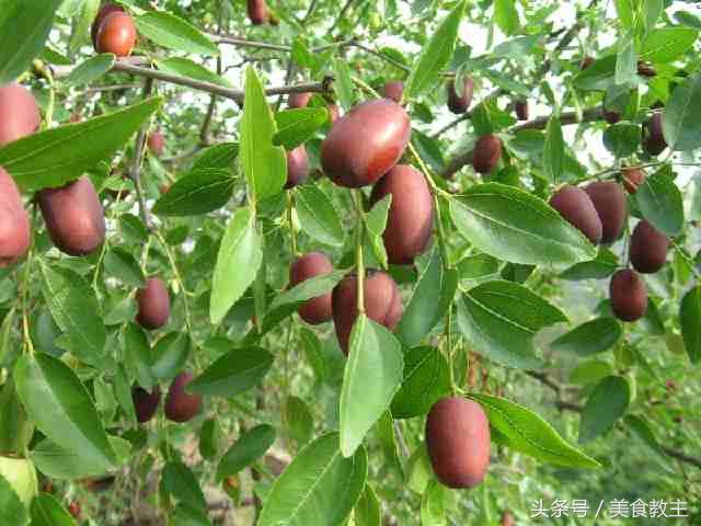 无添加细腻又松软的戚风蛋糕,戚风蛋糕纯牛奶版