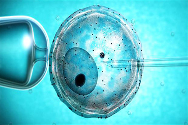 选择试管婴儿的好处有哪些,试管婴儿挑选的胚胎优于自然受孕