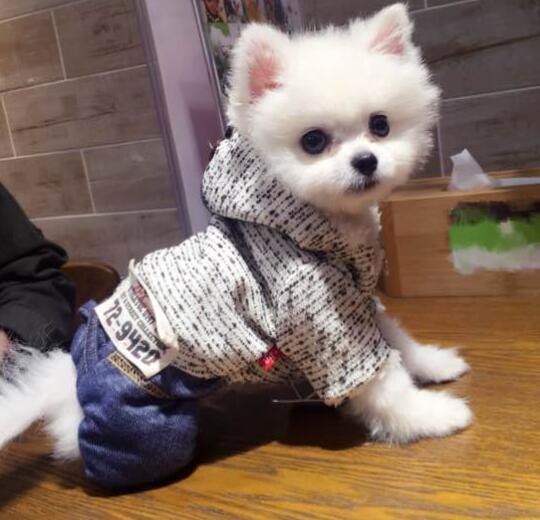 深圳新瑞鹏宠物医院,深圳叮当宠物医院罗湖分院