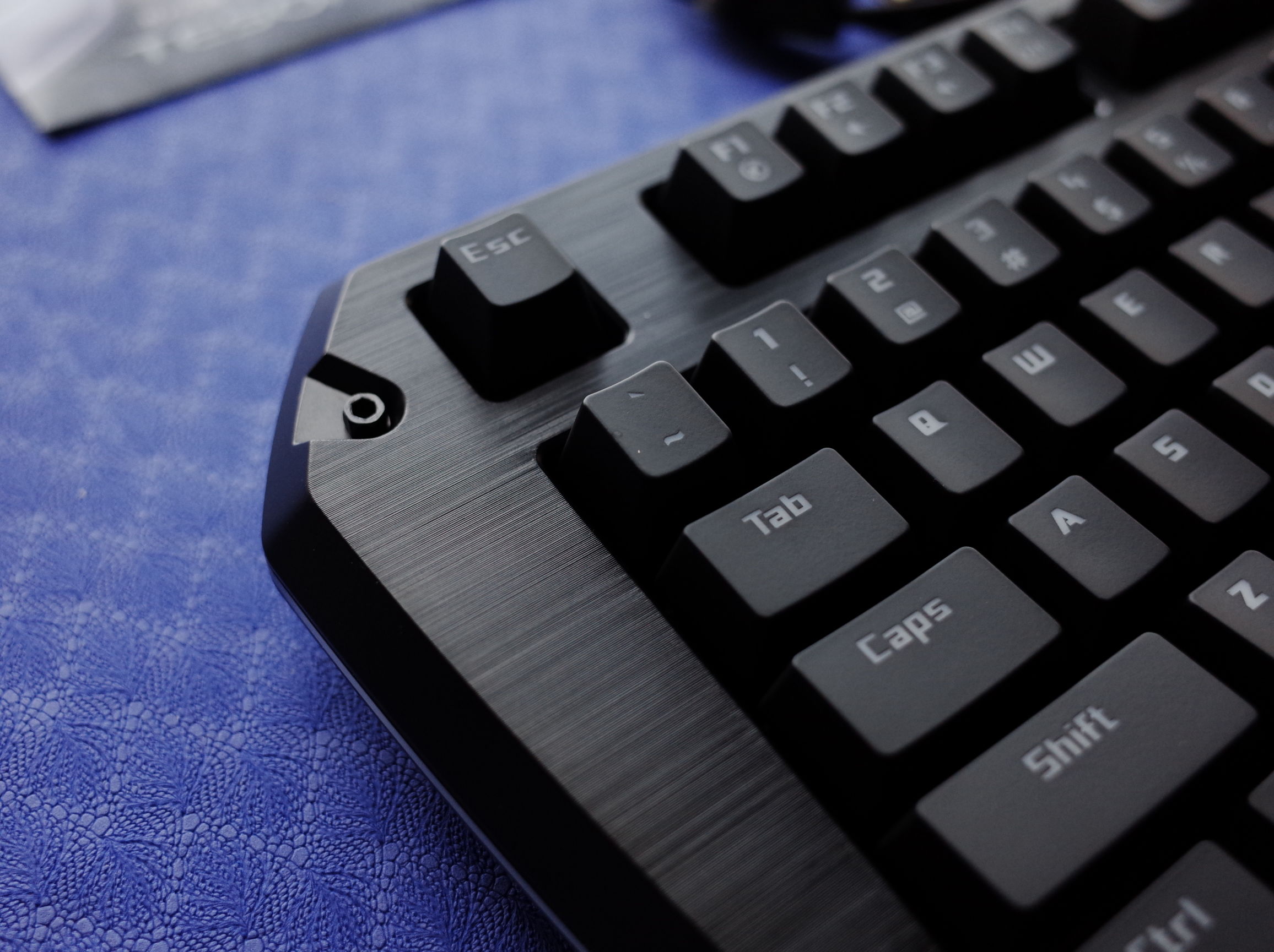 在屋里打乒乓球,在房间打乒乓球