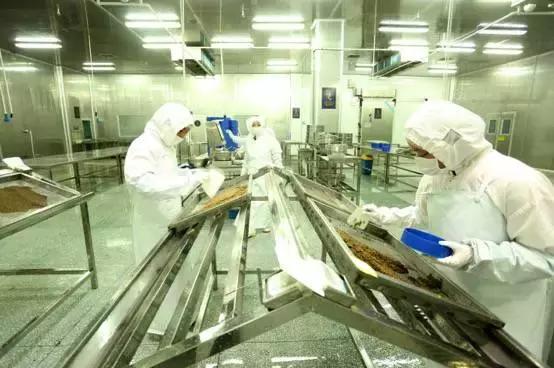 普通鲟鱼有鱼子酱吗,鲟鱼的卵是鱼子酱