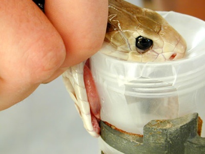 世界最奇葩的美容方法排名,国外奇葩美容产品