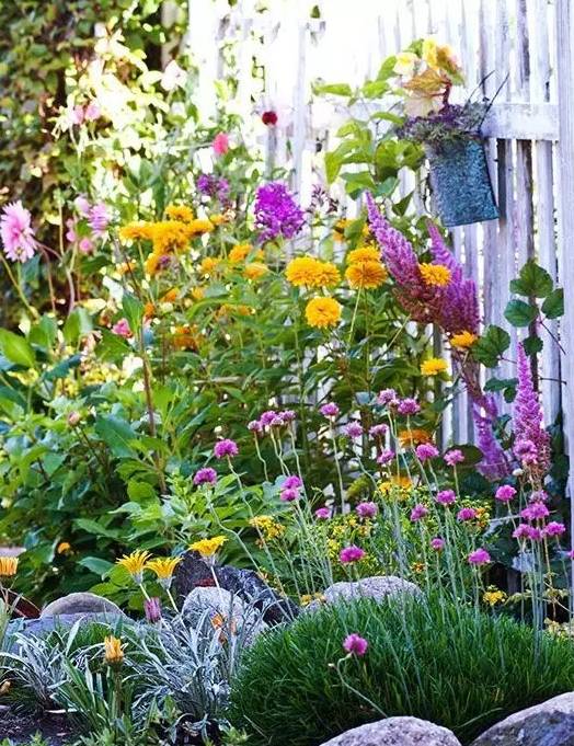 治愈系园艺图片大全,治愈系养的植物