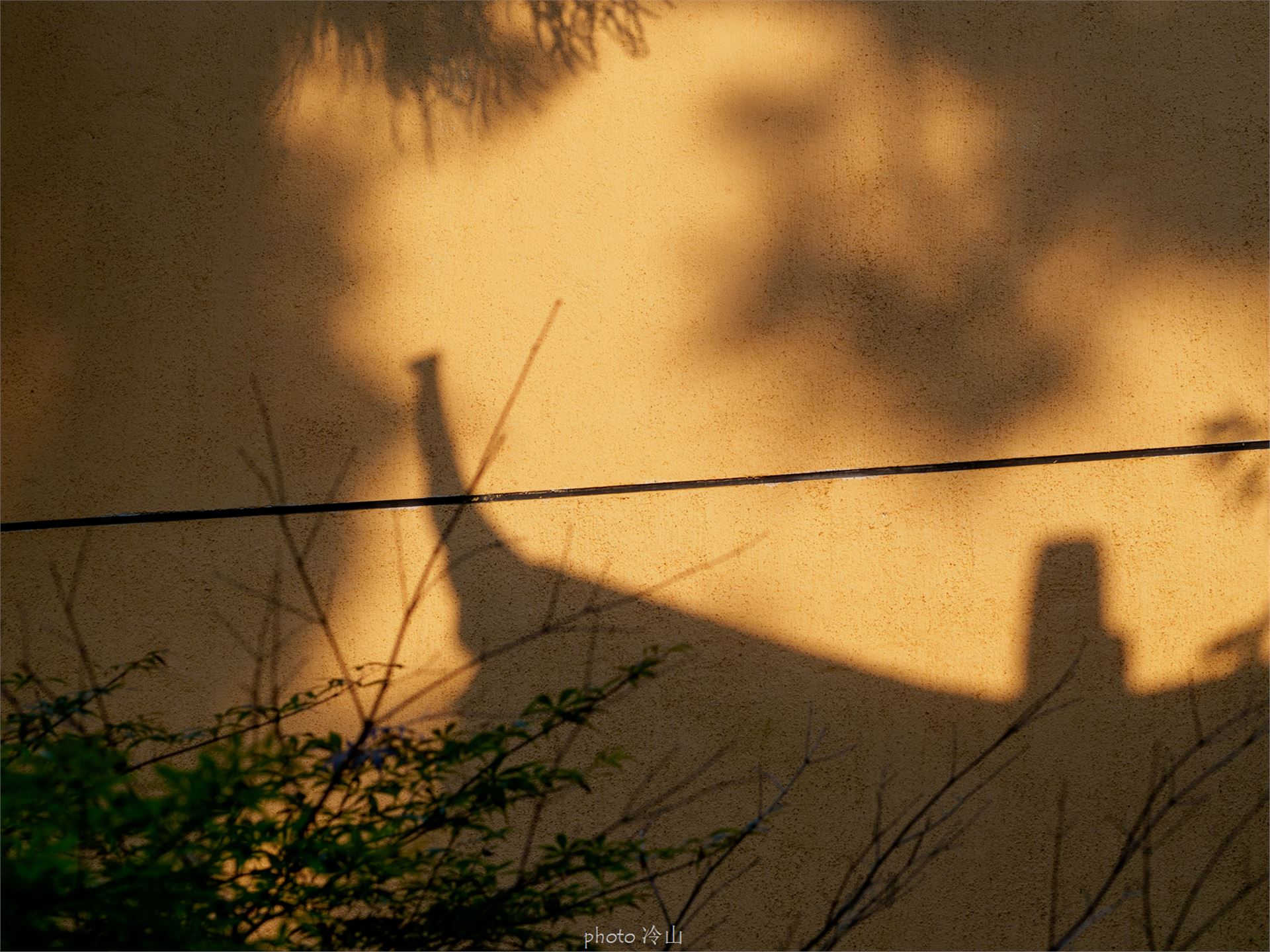 华顶千年杜鹃林,天台山石梁瀑布华顶杜鹃