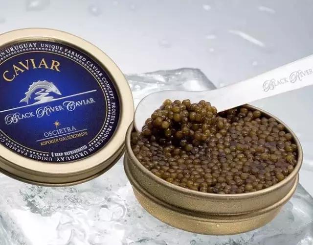 鲟鱼有没有鱼子酱,鲟鱼卵鱼子酱