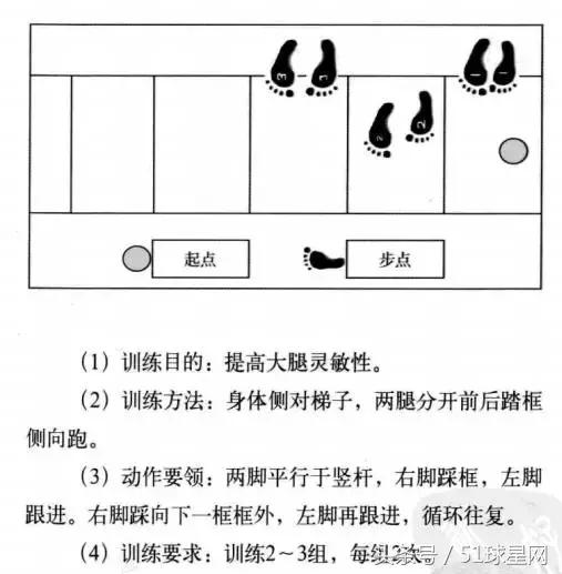 绳梯软梯训练视频,绳梯训练10种方法
