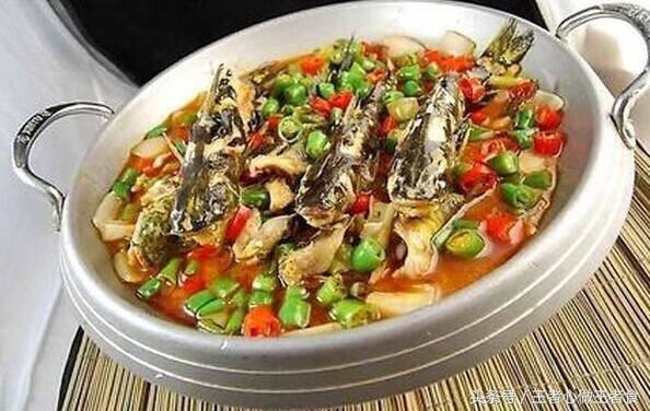 被野生黄刺鱼扎出血了有事吗,身上有刺扎到特别疼的鱼