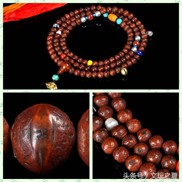 如何选择凤眼菩提,凤眼菩提如何选择