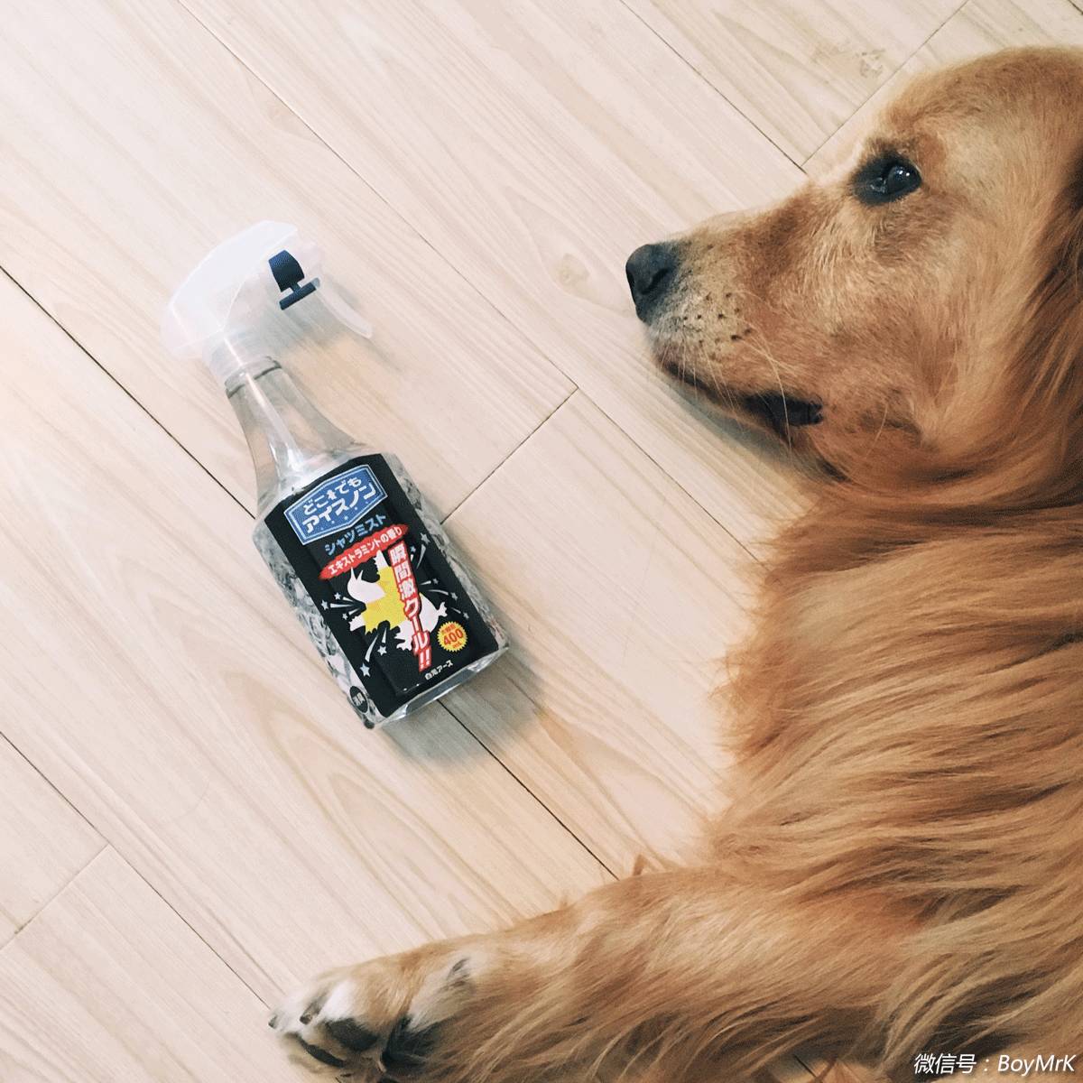 夏天种草必买清单,种草清单如何出现在视频