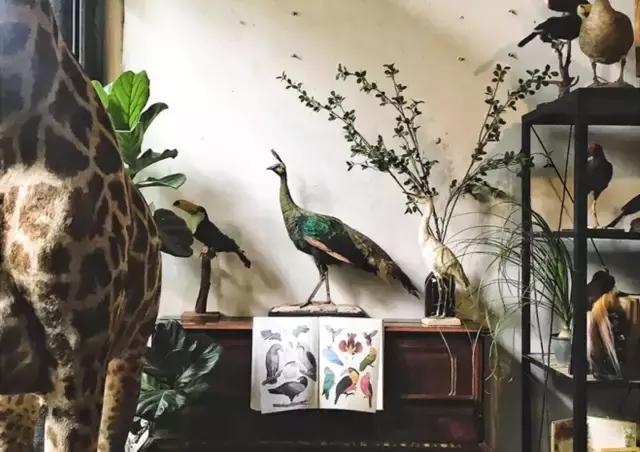 七夕送什么礼物好,七夕礼物分享图片