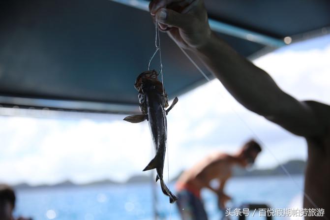 帕劳百悦旅行社,百悦旅游