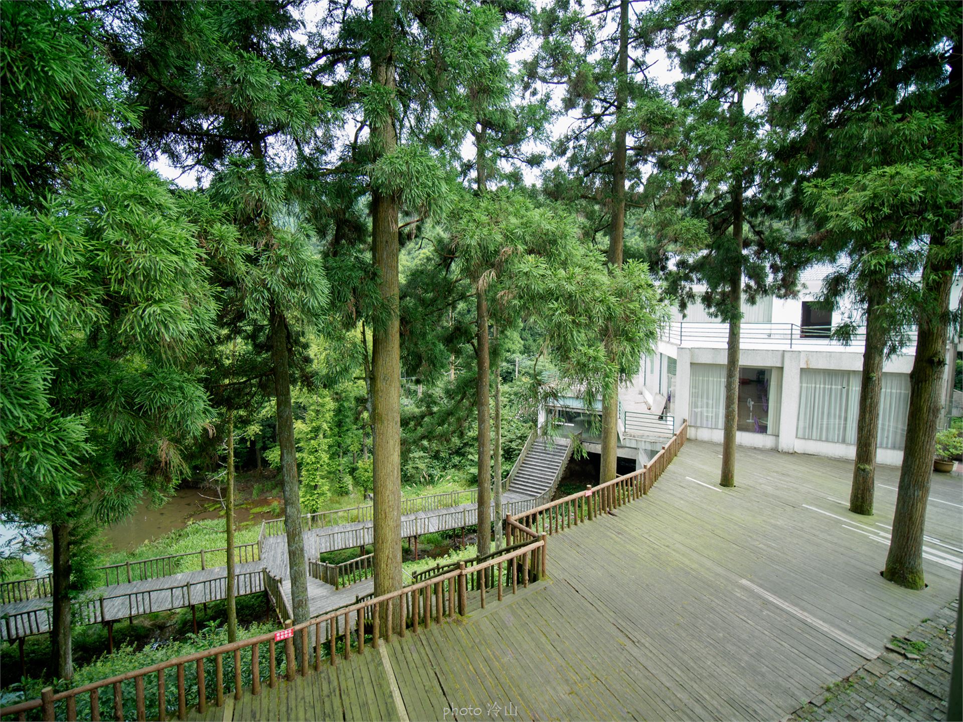 华顶千年杜鹃林,天台山石梁瀑布华顶杜鹃