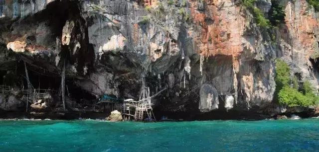 37年、两代人,她把燕窝产品做到全网前三甲,明星胡静从产品粉