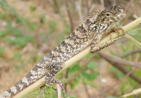 Supreme｜我立志从头到脚从身到心掏空你的钱包