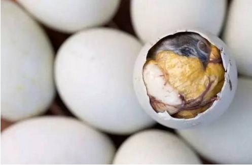 史上十大最恶心的食物,十种致命奇葩食物