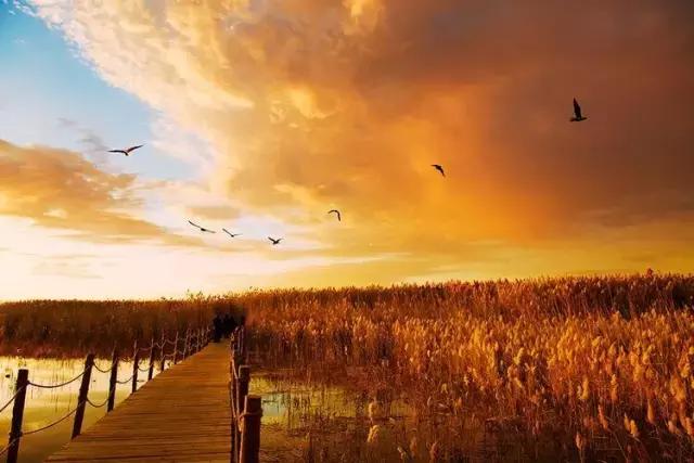 三千年的情缘,三千年的企盼只为这一季的金秋(附攻略)