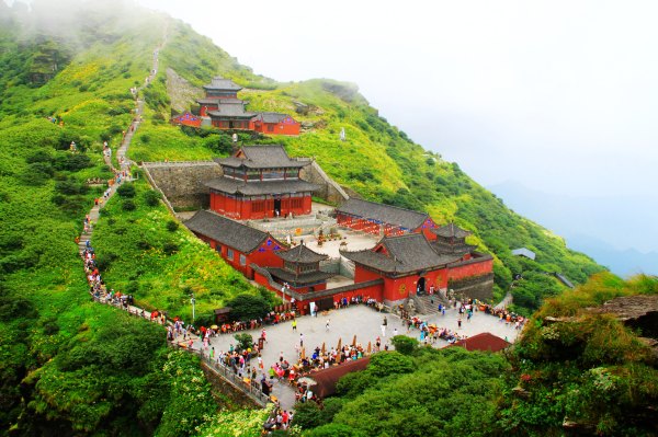 天天有人去山上采蘑菇,每天来观看的游客上万人