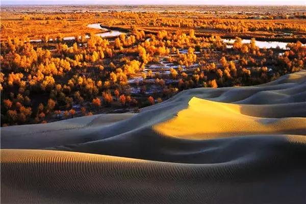 三千年的情缘,三千年的企盼只为这一季的金秋(附攻略)