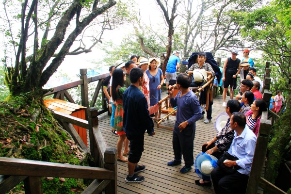 天天有人去山上采蘑菇,每天来观看的游客上万人