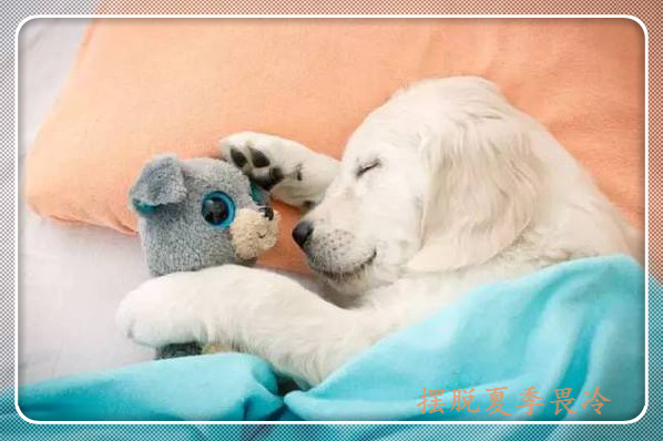 手脚冰凉畏冷,女性夏天手脚冰凉怕冷是什么原因