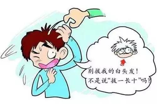 日常吃什么头发长得快又黑又亮密,乌黑浓密头发的食物