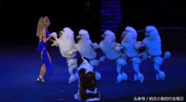 珠海长隆横琴湾酒店:这里不仅是吃货天堂,更让酒店控亮瞎眼!