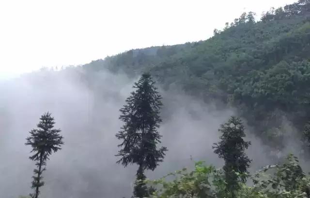 南宝山免费露营耍水,南宝山林海营地有什么耍的