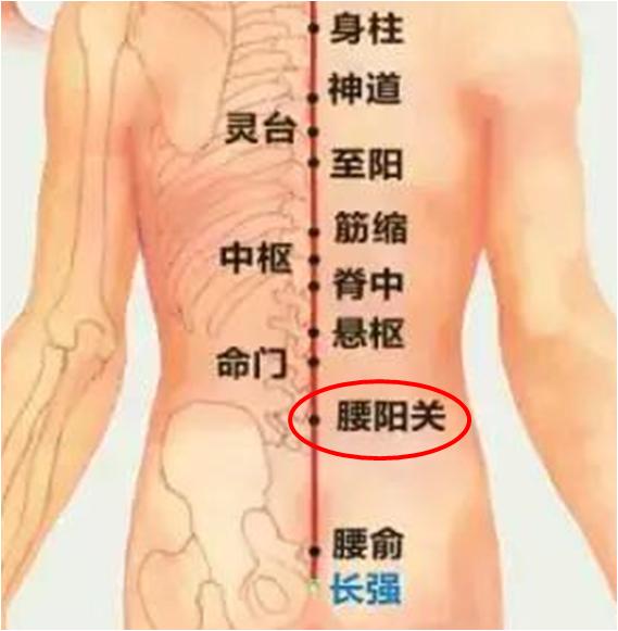 艾灸必须找准穴位吗,男性艾灸减肥最快的穴位