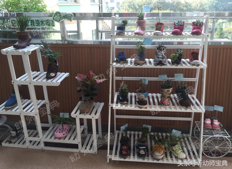 自然角创设分布图,自然角布置幼儿园