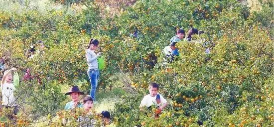 九江不得不去的地方,在九江好玩的地方不用钱