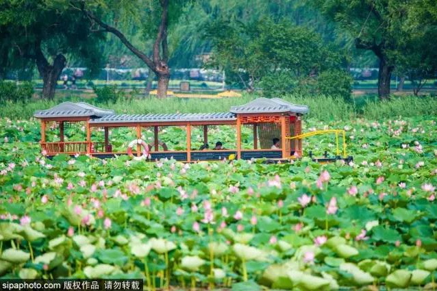 北京七夕游玩推荐,过七夕的风景