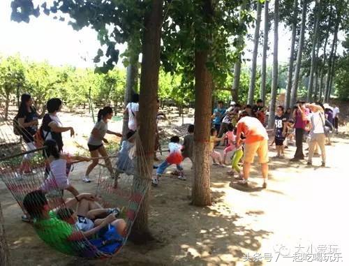 北京适合亲子阅读的图书馆,北京带孩子去哪家图书馆