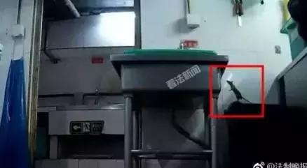 西安凌晨海底捞,西安海底捞曝光