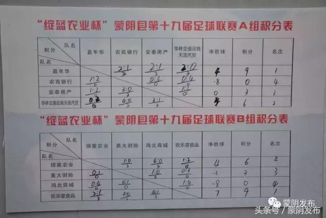 蒙阴县第二十届足球联赛胜利闭幕,第24届蒙阴足球联赛名单