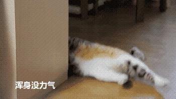 大姨妈期间惹女朋友生气怎么哄,大姨妈怎么缓解情绪