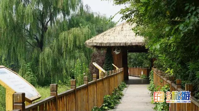 京城最大郊野公园，不仅免费，还藏了好多不为人知的秘密！