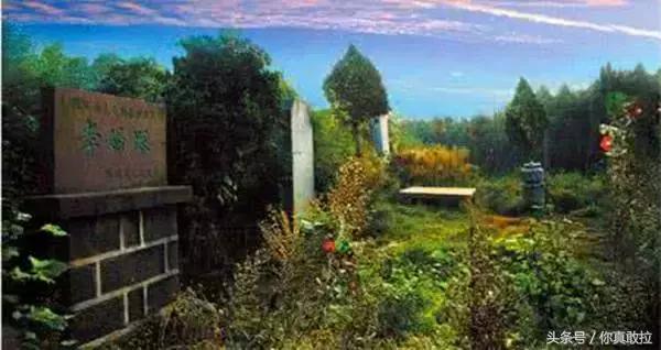 临沂郯城在哪里,临沂郯城古城