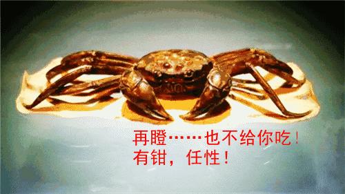 开学前最后一次狂欢,开学前最后一期视频