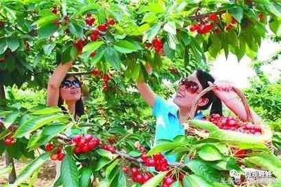 2018年河北邯郸峰峰响堂水镇,邯郸峰峰响堂水镇风景区旅游视频