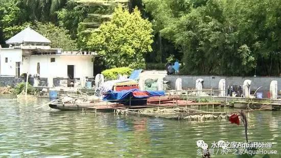 11月19日全国部分水产品批发价格,7月水产品批发市场价格简报