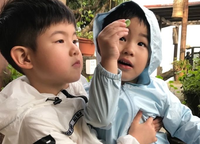 安吉小鱼儿宠弟,安吉小鱼儿养成记