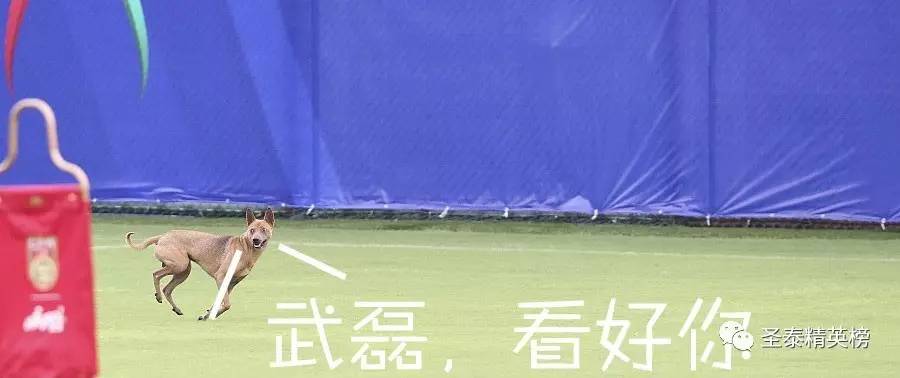 里皮祭拜天地?看周星驰,吴京,马丽手把手教你踢球